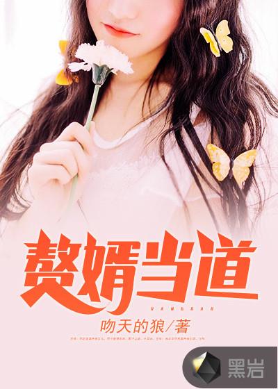 完整版神级狂婿