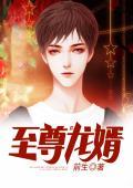 至尊龙婿贴吧
