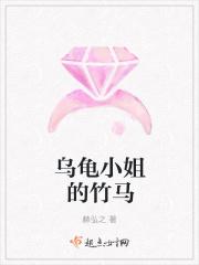 乌龟小姐的罗曼史