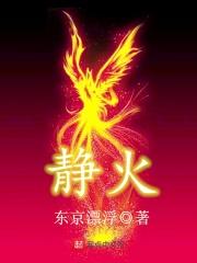 静火版和赤旗版pdf