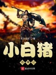 小白猪是谁