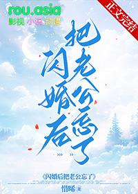 闪婚后把老公忘了TXT