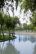 春风得意百花香是什么歌