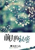 前夫的秘密东风晏晏讲什么