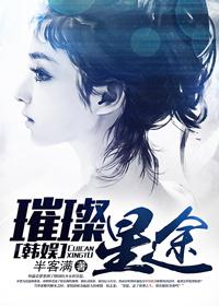 璀璨星途公司
