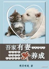 吾家有妻训养成