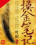 摸金笔记电视剧免费观看