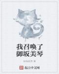我召唤出了