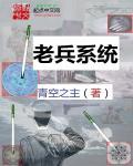 老兵txt