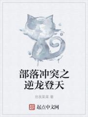 部落冲突