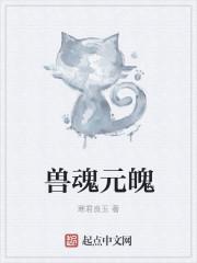 兽魂怎么获得