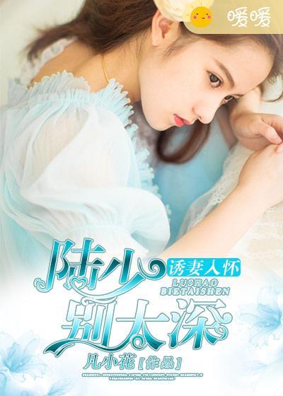 撩妻入怀陆少宠妻很强势