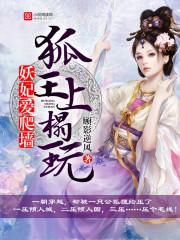 妖妃的